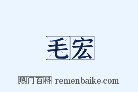 毛宏是什么意思的图片